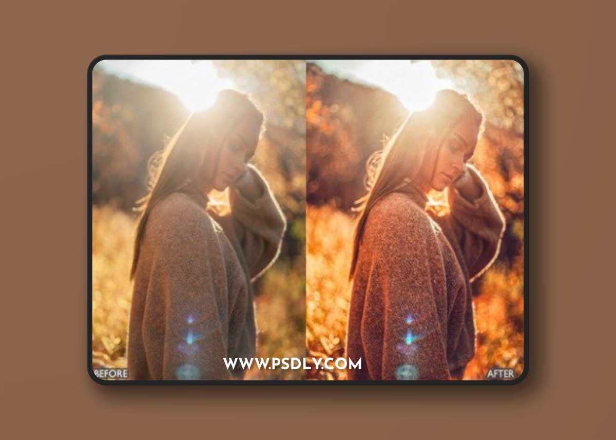 Best FALL PRESETS for Autumn Photos