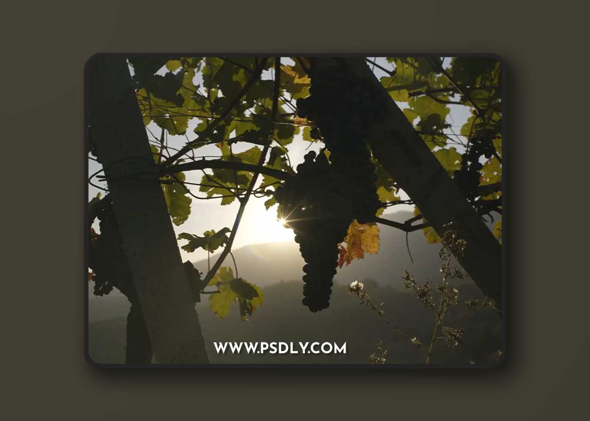 Buttery LUTs: Sony SLog2 / SLog3 - Natural REC709