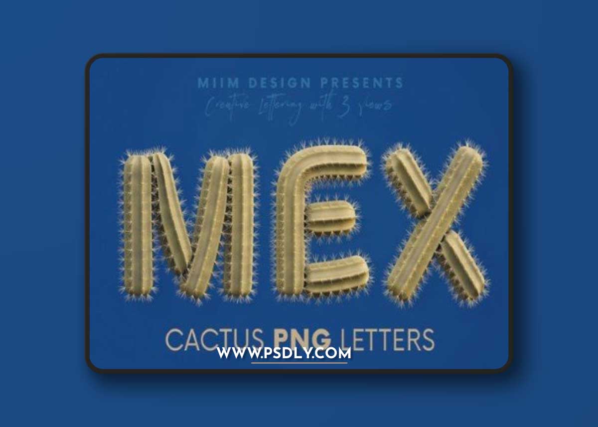 Cactus 3D Lettering