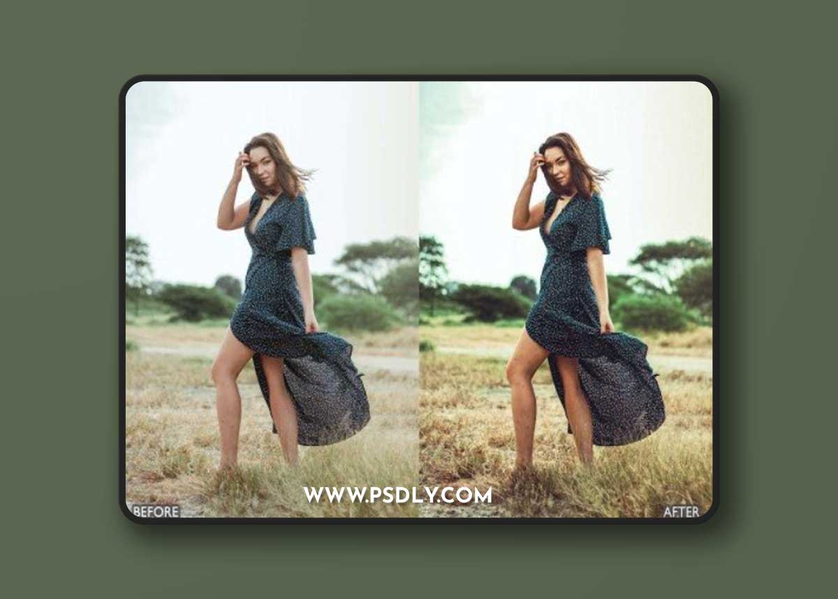 Cinematic Moody Brown Lightroom Presets Pack