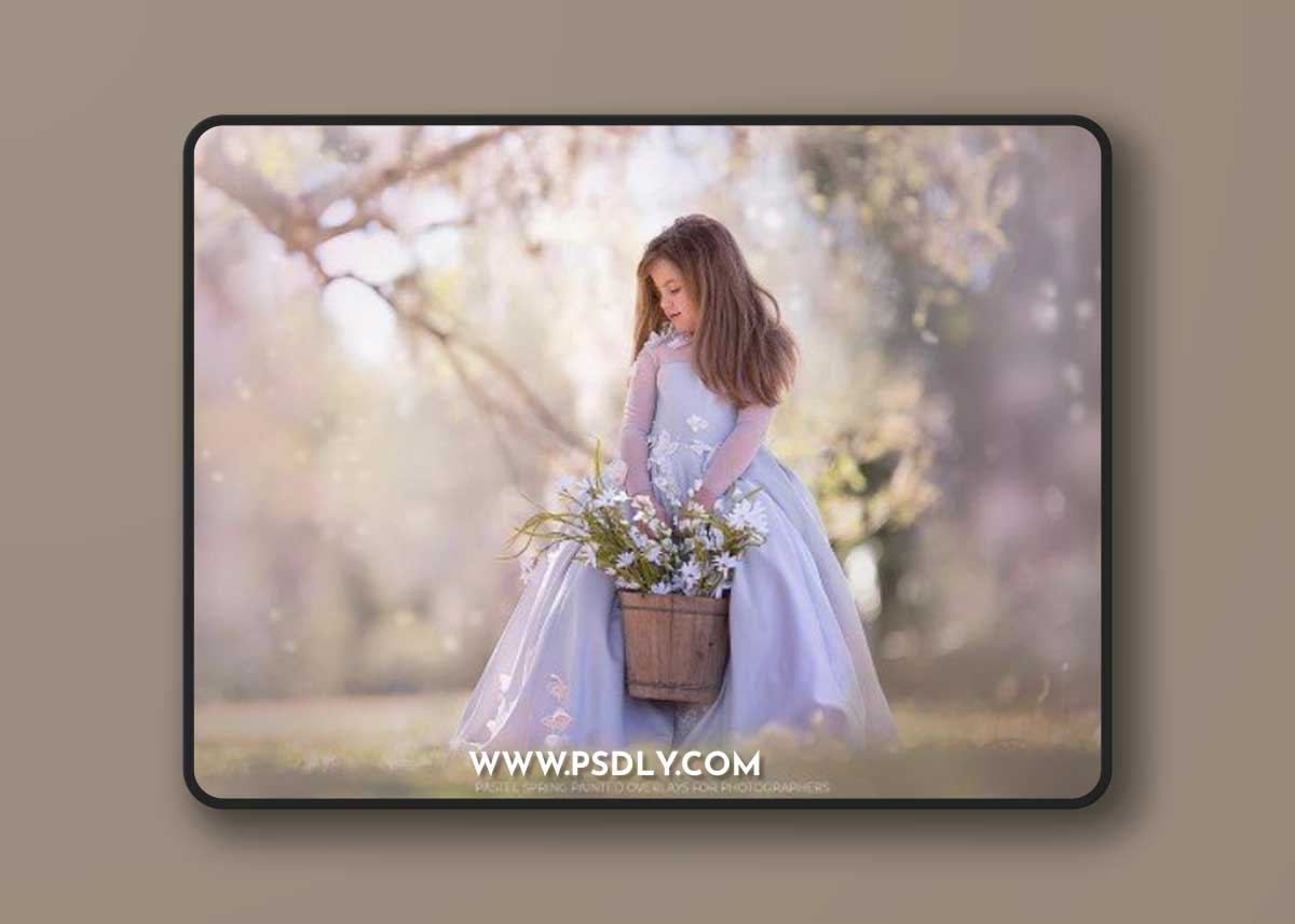 Kimla Designs - Pastel Spring Overlays