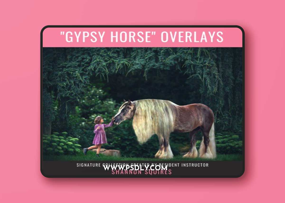 Summerana - Gypsy Horse Overlays