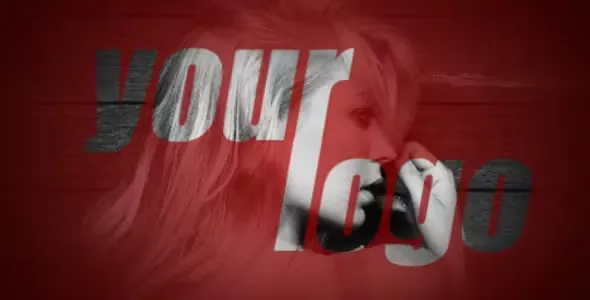 Videohive Fast Slide 572312