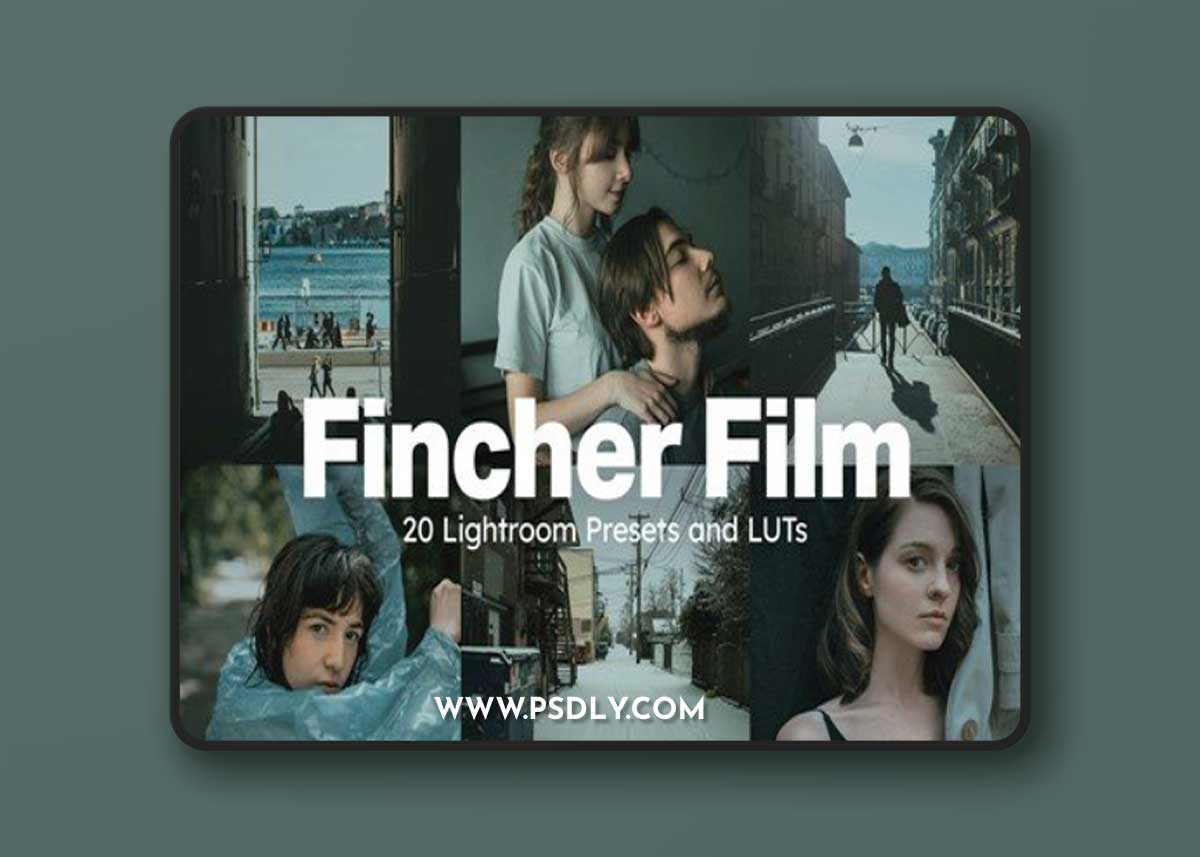 20-Fincher-Film-Lightroom-Presets-and-LUTs-9EWCHGY
