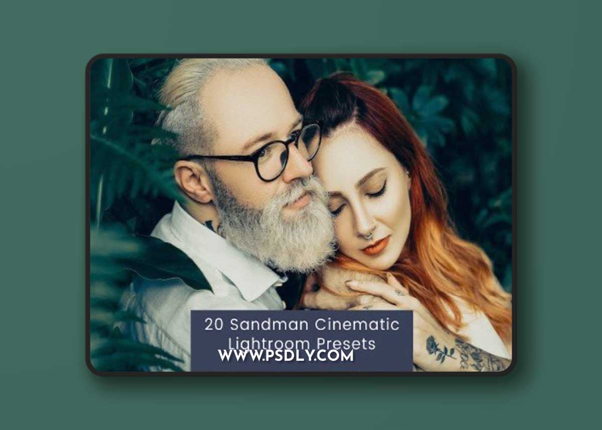 20 Sandman Cinematic Lightroom Presets