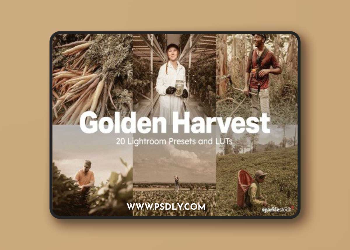 Creativemarket - 20 Golden Harvest Lightroom Presets and LUTs