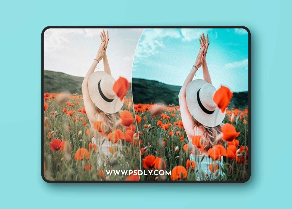 Landscape Lightroom presets And Photoshop Actions U32NF8T