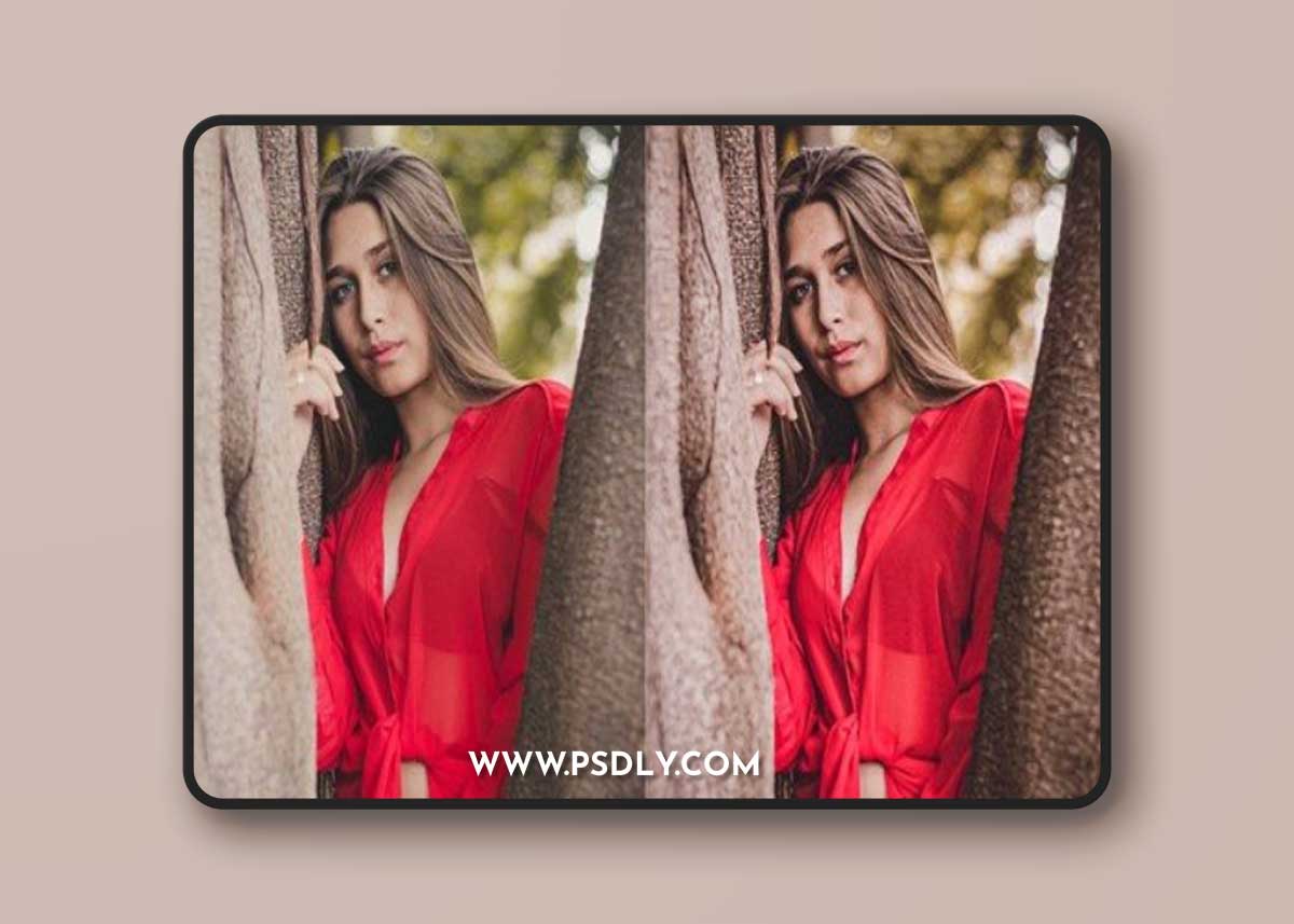 Portrait Lightroom Presets for mobile and desktop WR3SR3F