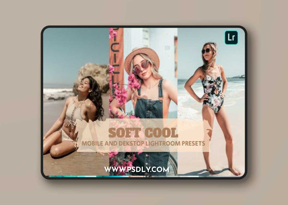 Soft Cool Lightroom Presets Dekstop and Mobile