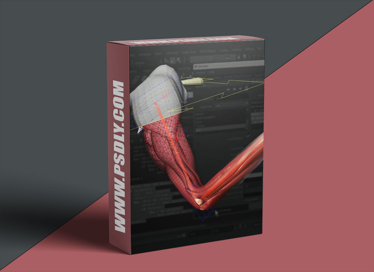 The Gnomon Workshop - Introduction to Ziva VFX: Volume 1