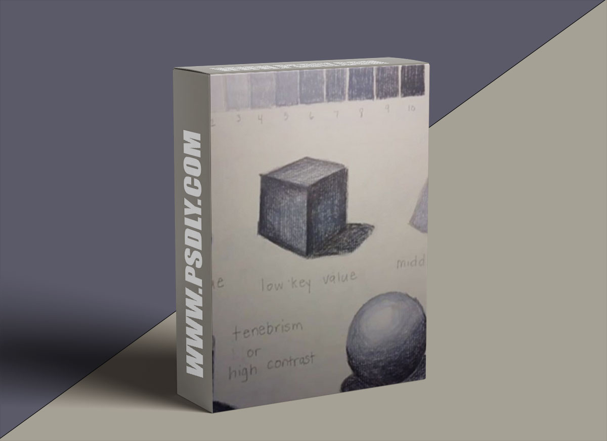 Value Drawing and Shading for Beginners- Still Life