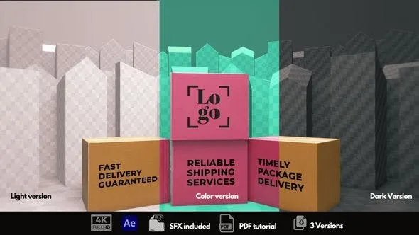 Videohive Delivery Experts 46062159