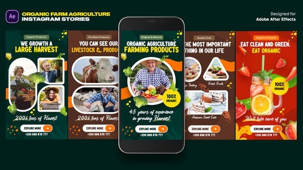 Videohive Organic Food Instagram Stories 46320755