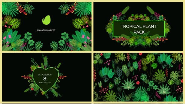 Videohive Tropical Plant Pack 20676721