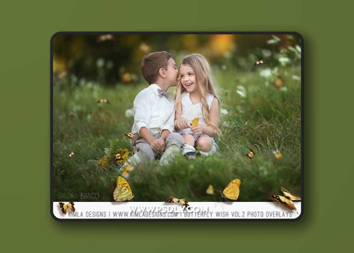 Butterfly Wish II photo overlays