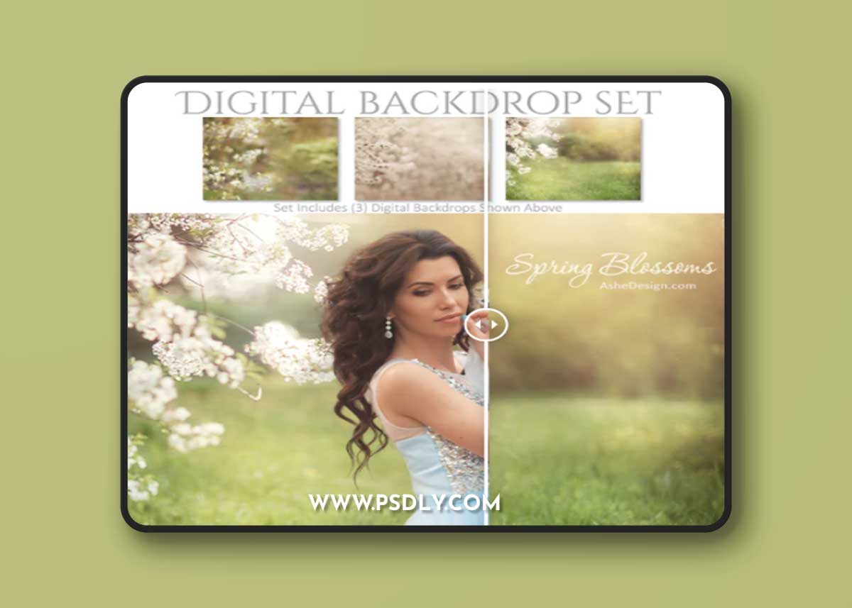Digital Backdrop Set - Spring Blossoms