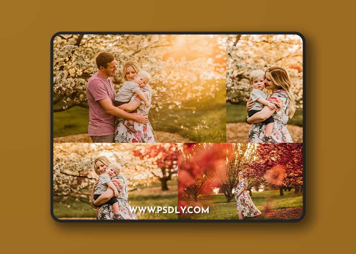 Lemon & Lace - Sunshine Lightroom Presets