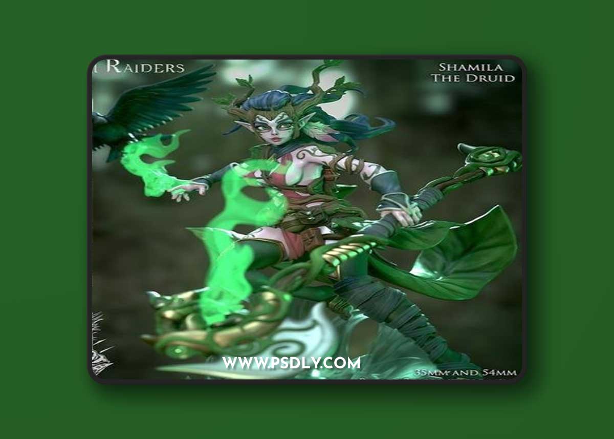 Ronin Arts Workshop - Shamila - Forest Elf Druid – 3D Print Model