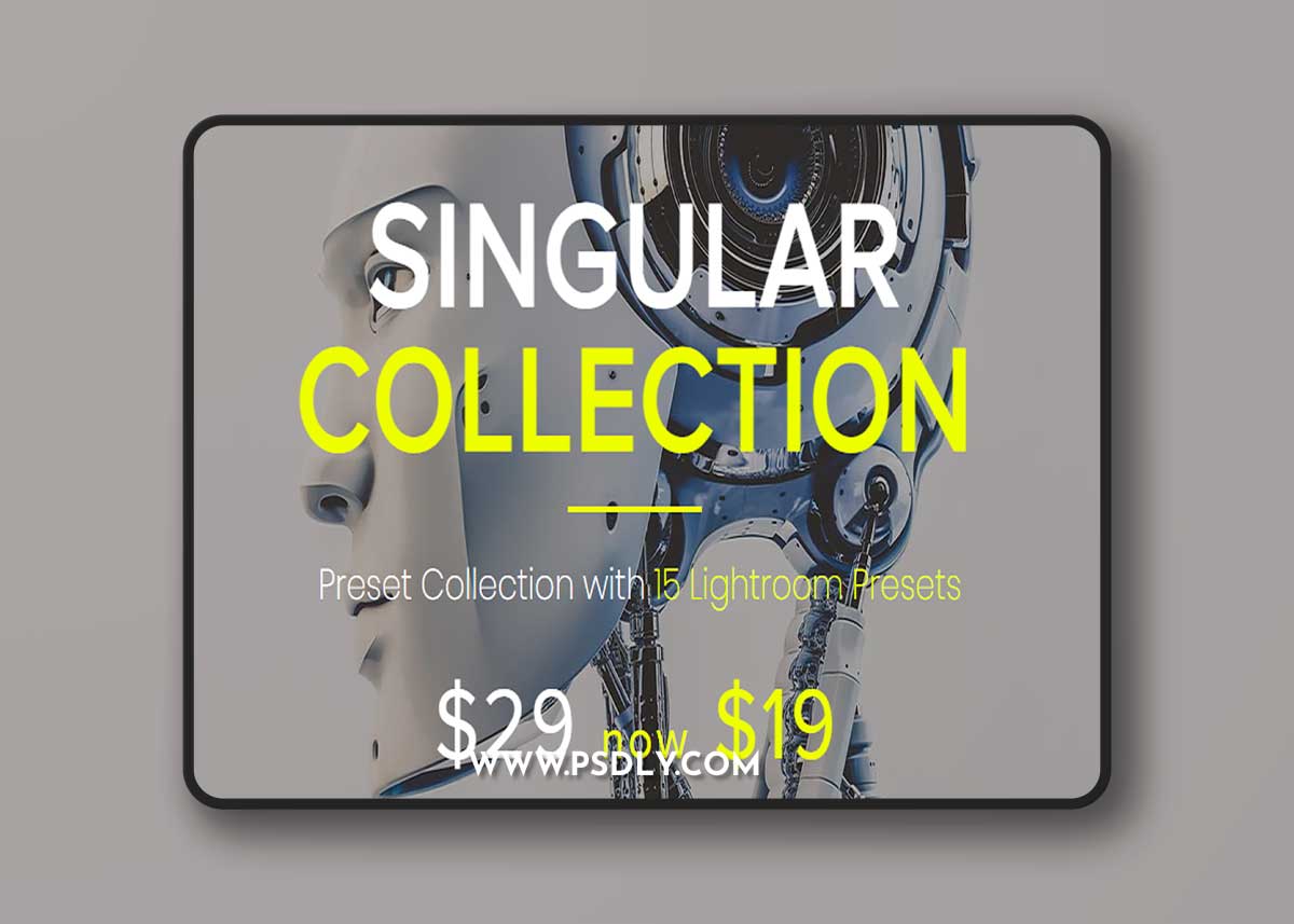 Singular Lightroom Presets Pack by Lookfilter