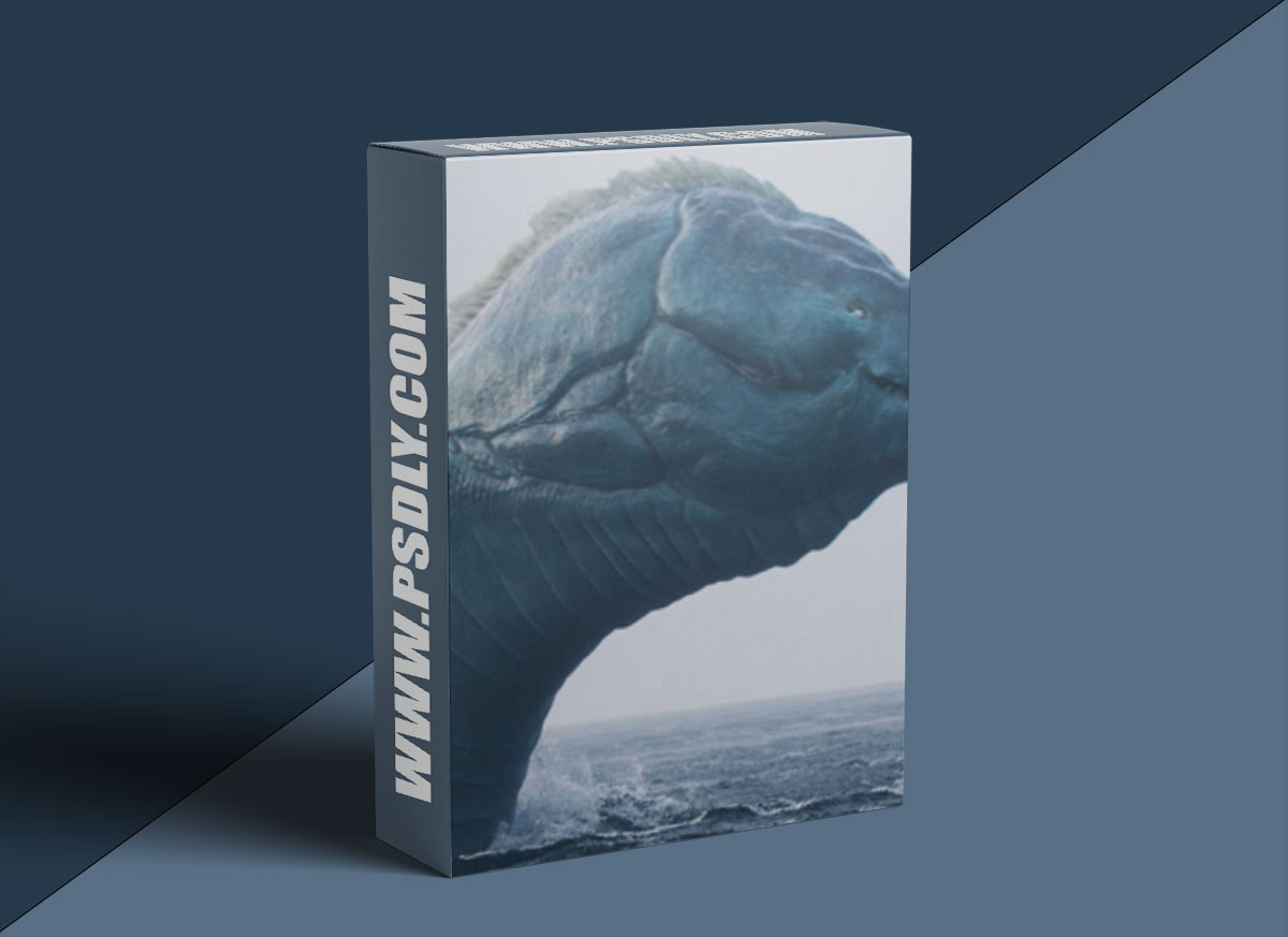 The Gnomon Workshop - Large-Scale Water Fx In Houdini