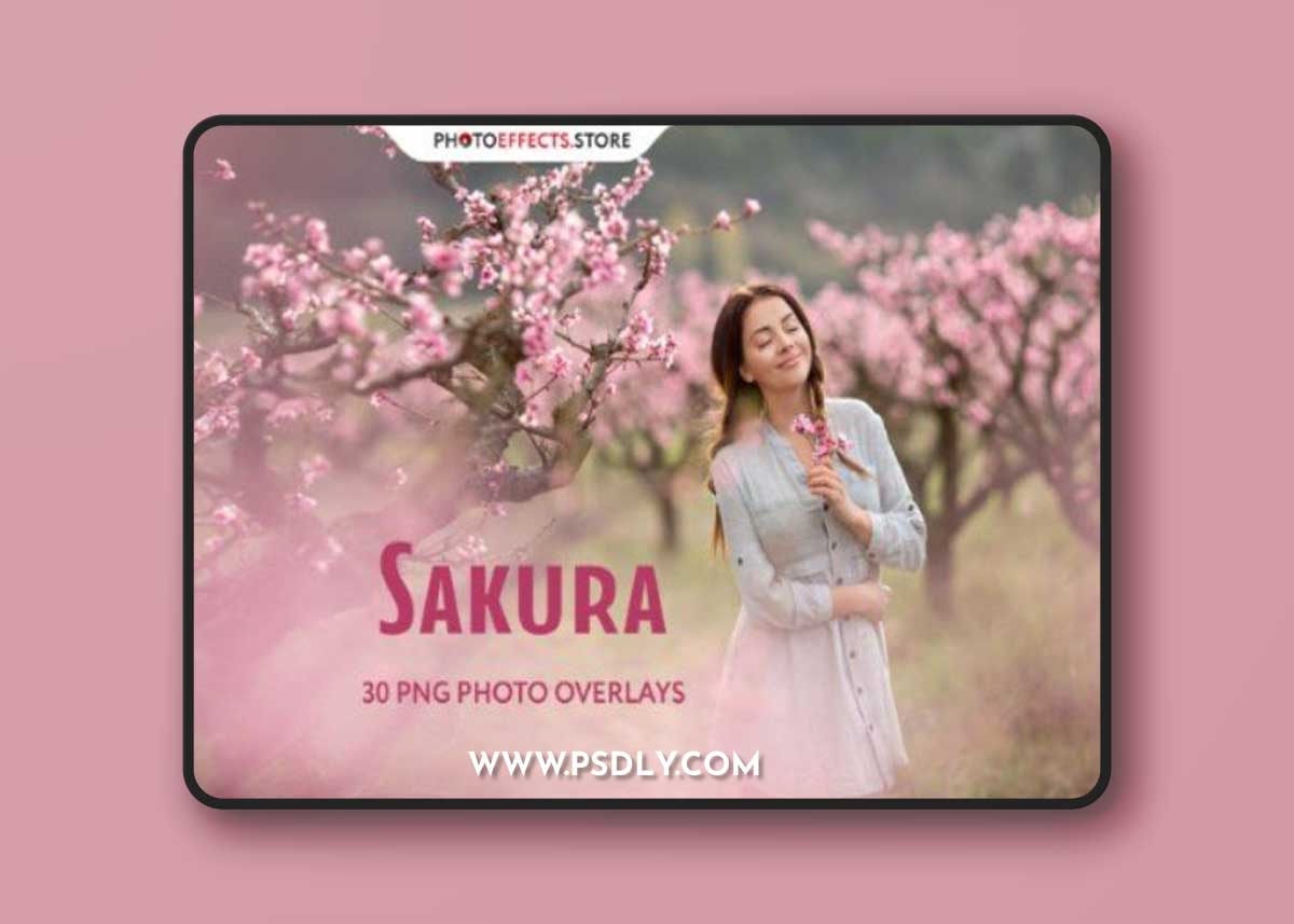 30 Sakura Photo Overlays