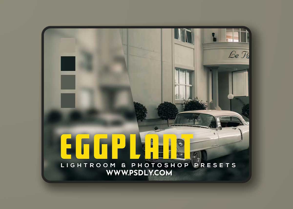 6 Eggplant Lightroom and Photoshop Presets KKAX2G2