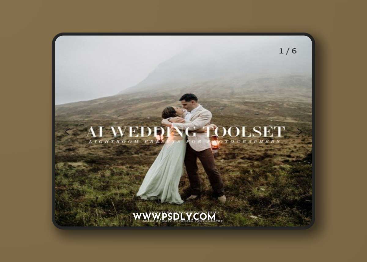 Archipelago - AI Wedding Toolset - Lightroom Presets