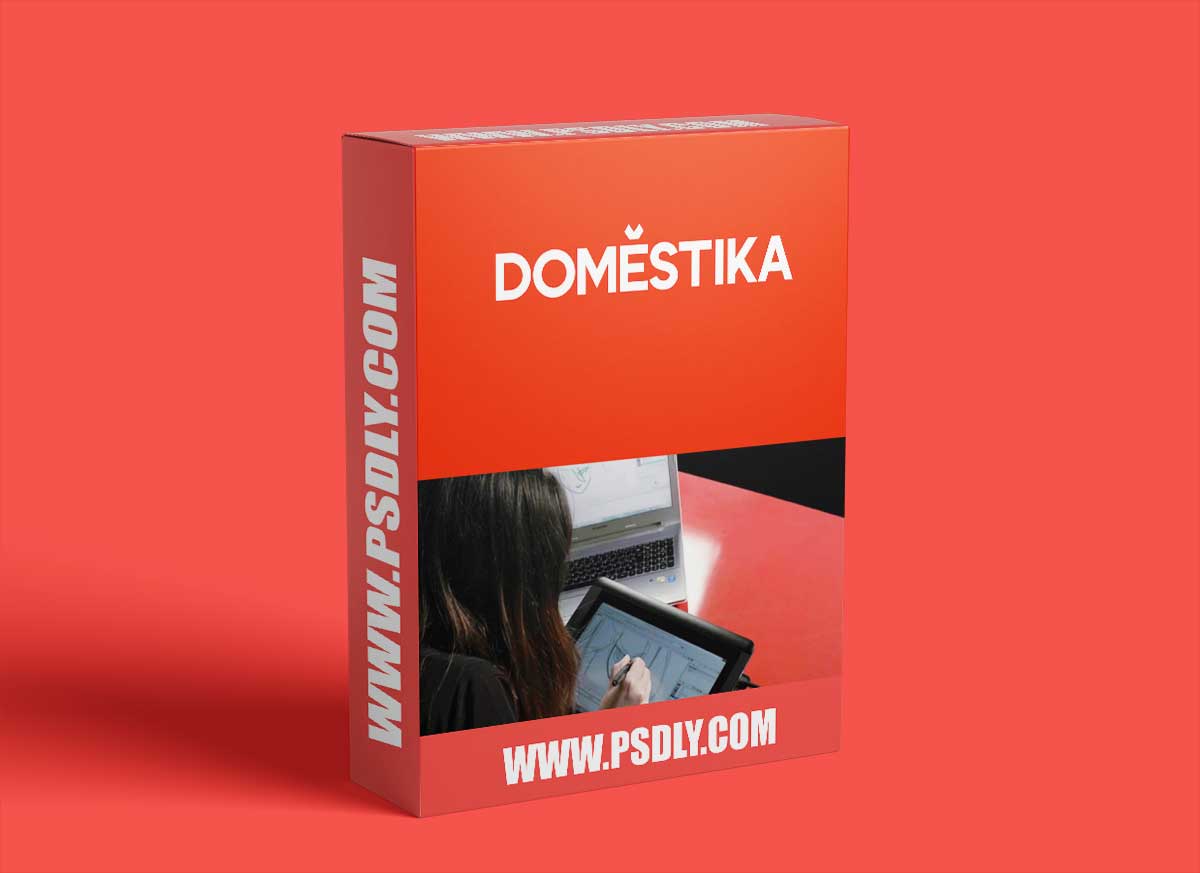 Domestika - 2D Animation with Toon Boom Harmony