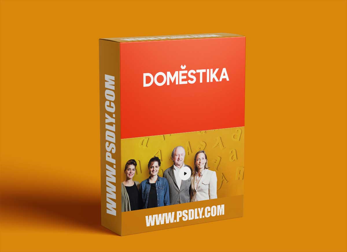 Domestika - Corporate Typography