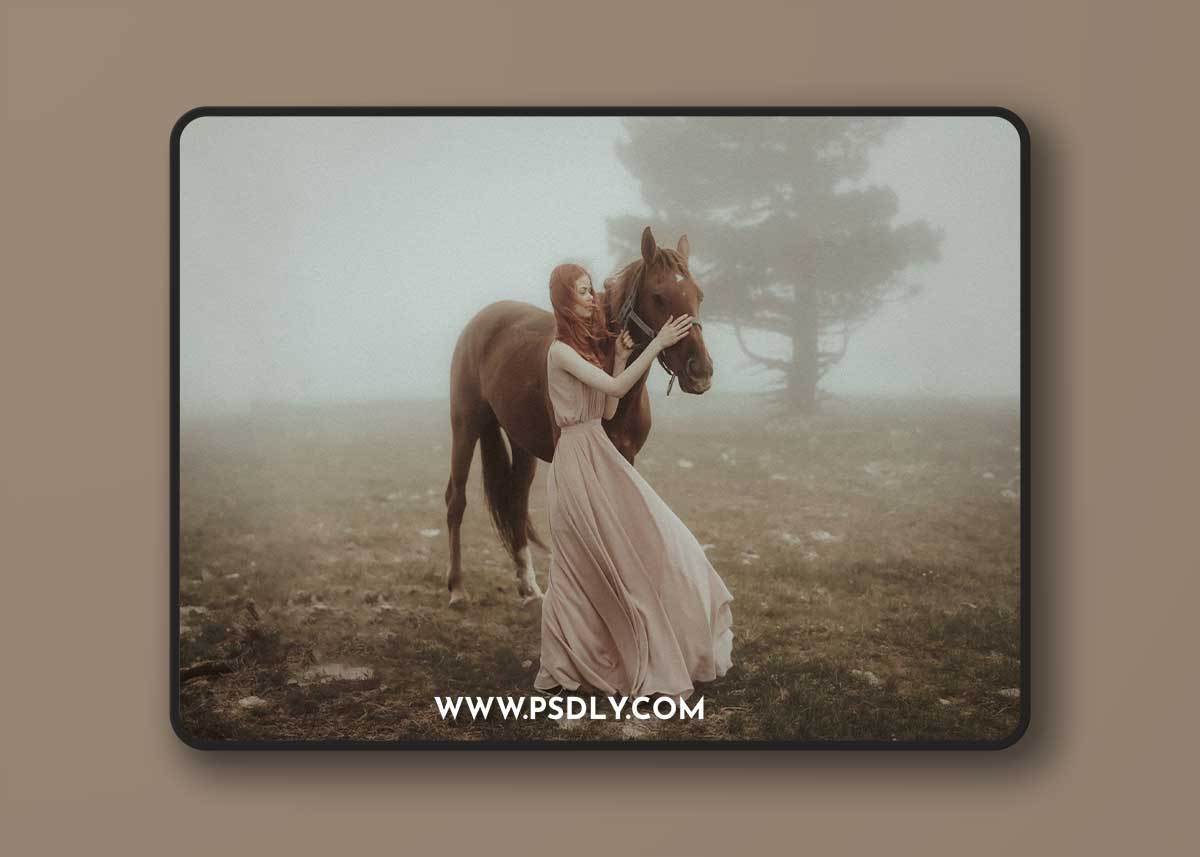 Embrace Nation - The Eclipse Workflow- AI Powered Effect Presets