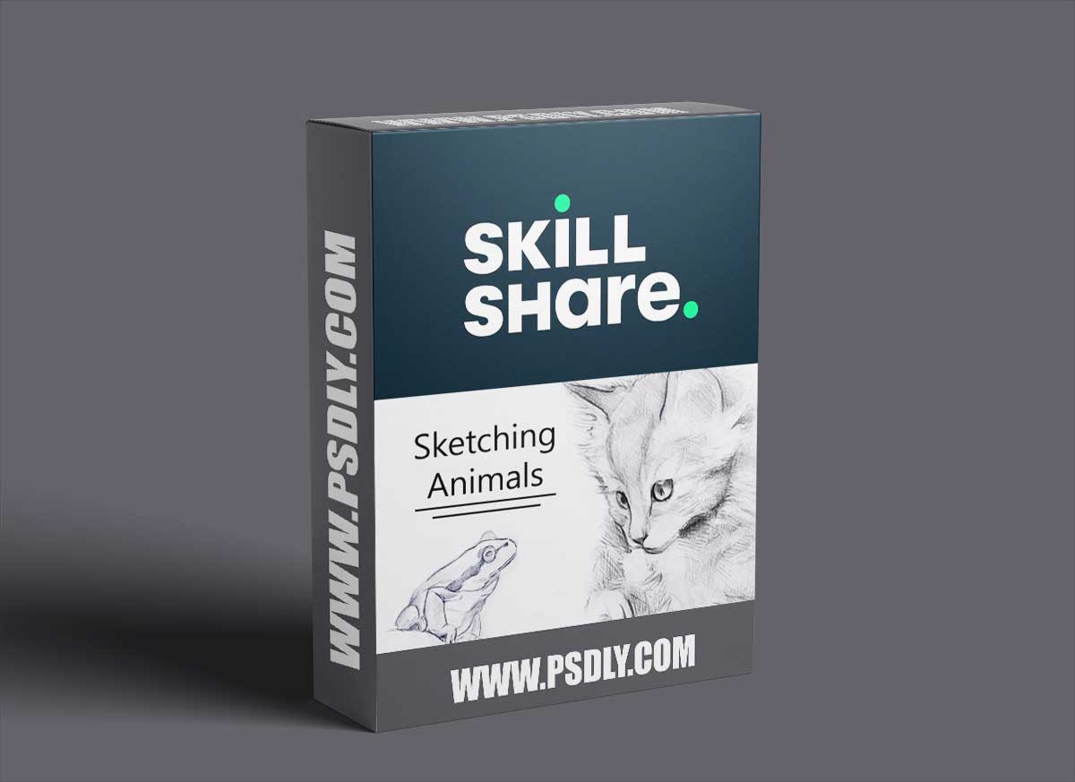 Sketching Animal Portraits - 5 Exercises to Help you 'See Like an Artist'