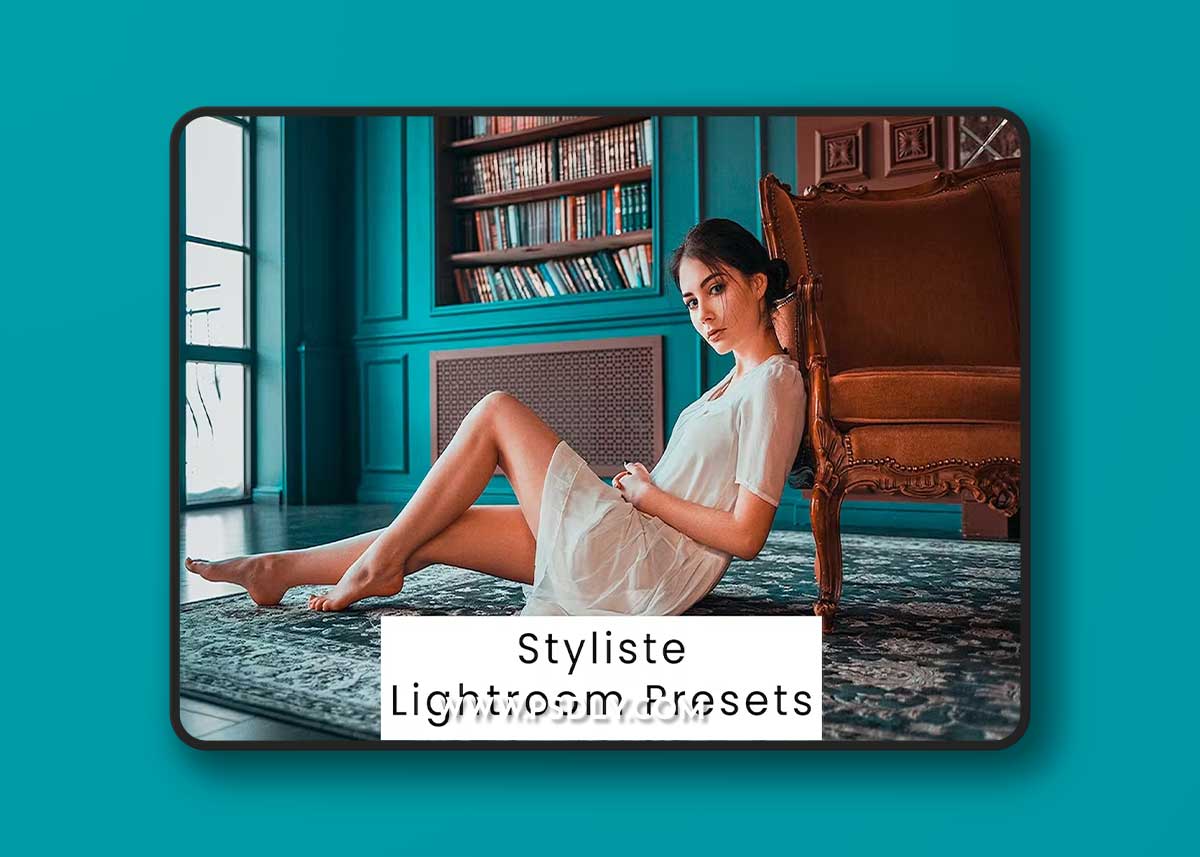 Styliste Lightroom Presets ZN8SGNY