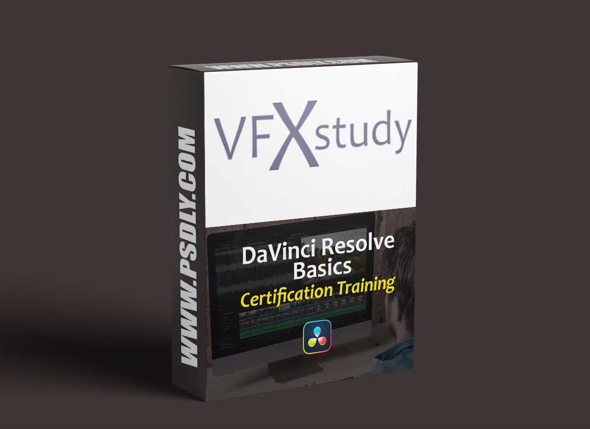 VFXStudy - DaVinci Resolve Basics Training