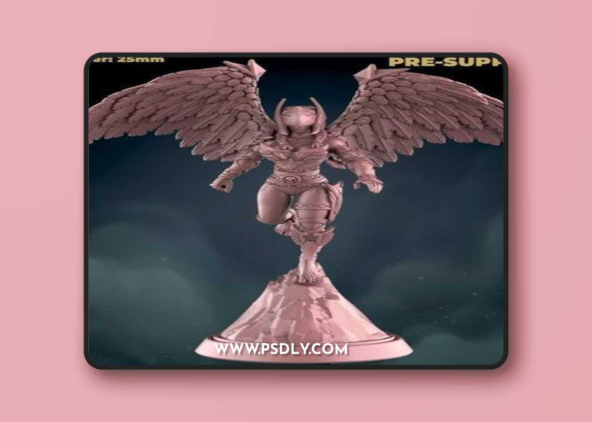 Valkyrie Flying and Valkyrie on guard – 3D Print Model