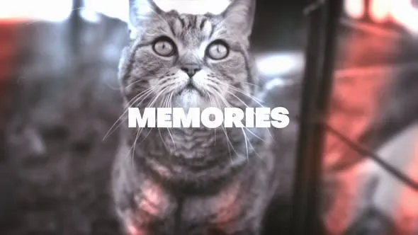Videohive Memories Looks 47621804