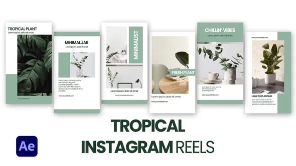 Videohive Tropical Instagram Reels 47148520