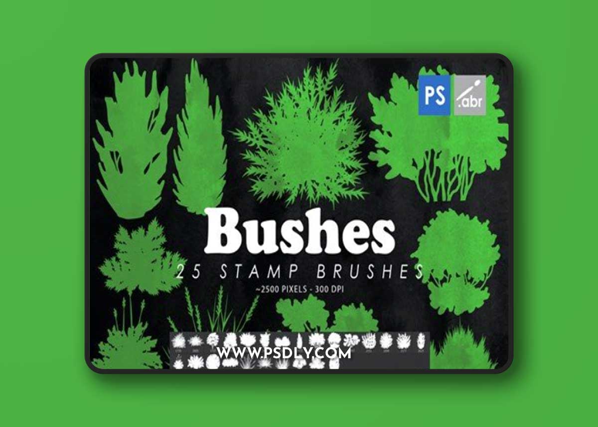 25 Bush Photoshop Stamp Brushes ZCMWMQE