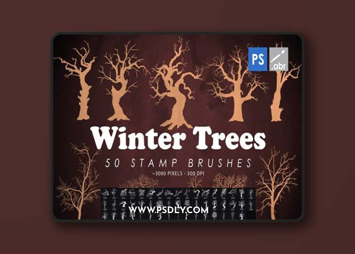 50 Winter Tree Branches Photoshop Stamp Brushes T3M2SSP