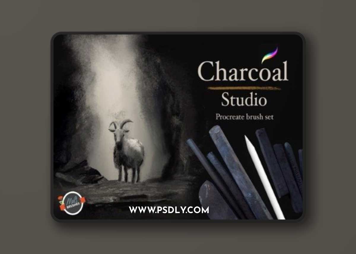 Charcoal Studio Procreate Brushes