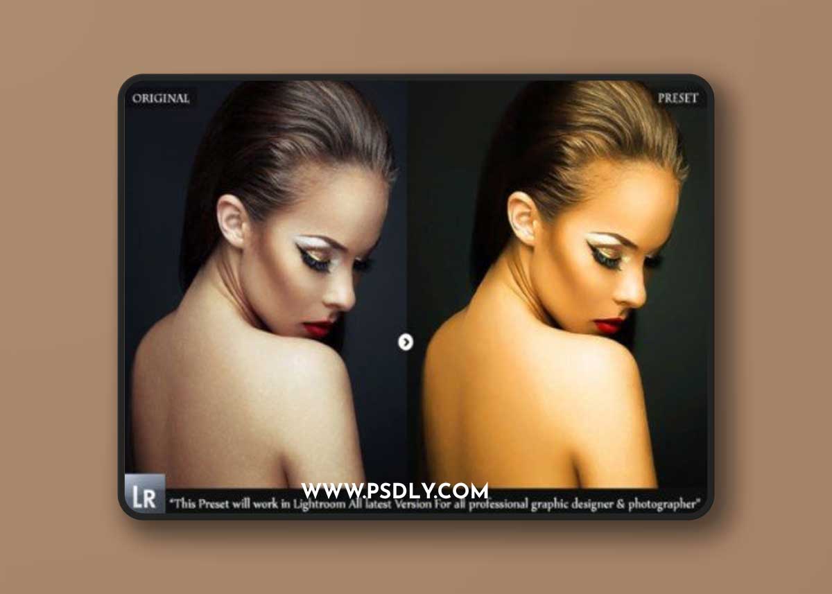 Professional Skin Retouch Beauty Preset