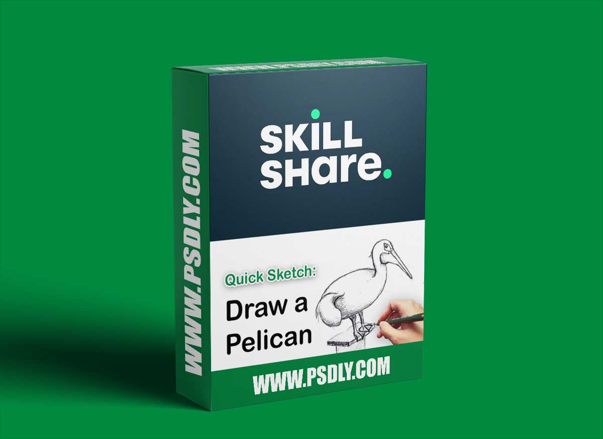 Quick Sketching Class: Learn to Draw a Pelican - Drawing for Beginners
