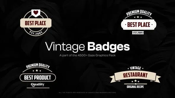 Videohive 15 Vintage Badges 48091658