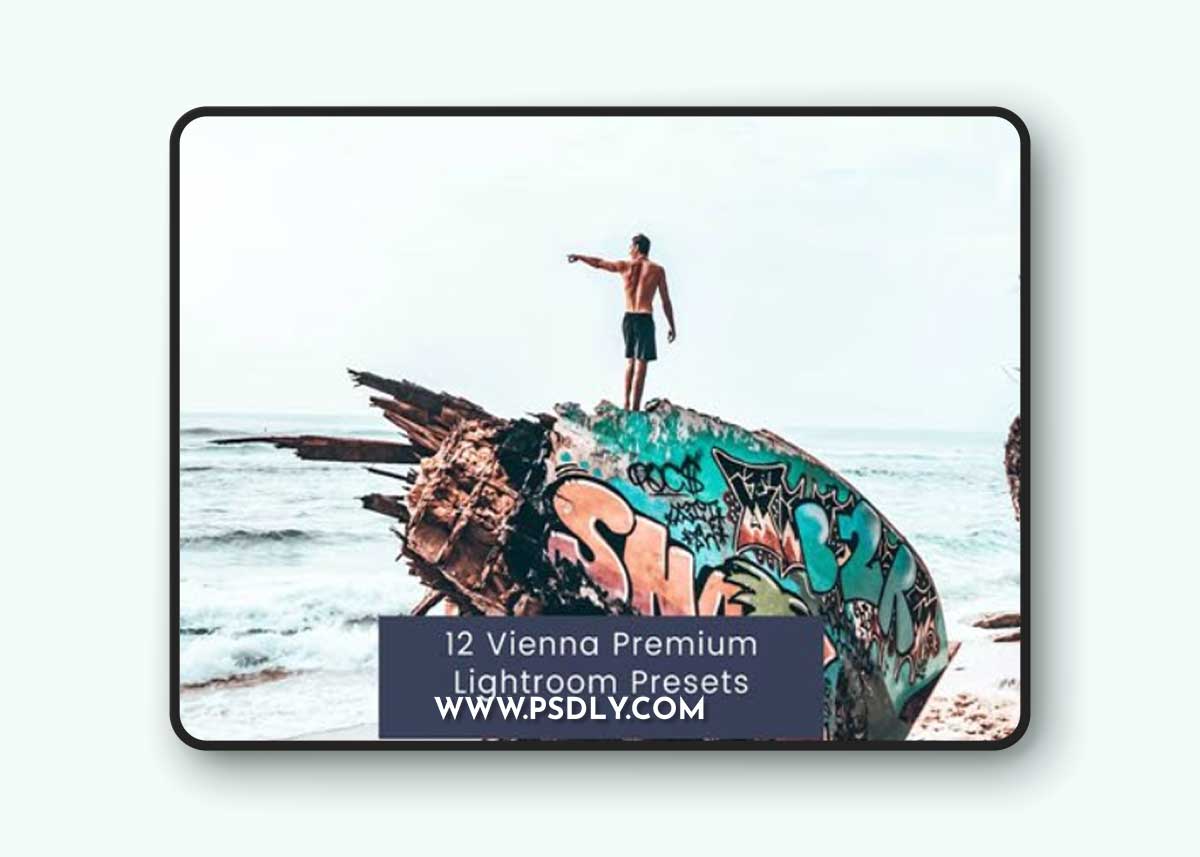 12 Vienna Premium Lightroom Presets