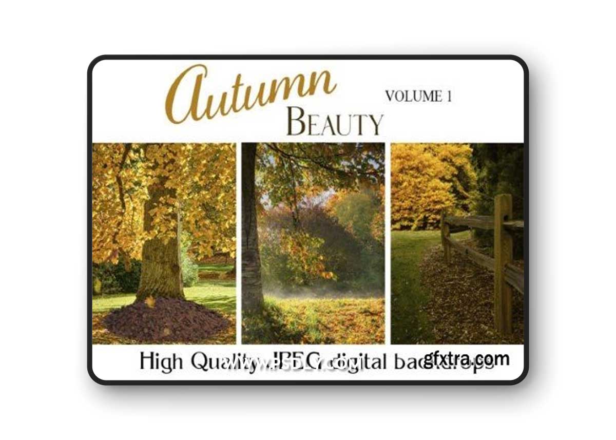Autumn Beauty V1 Digital Backdrops