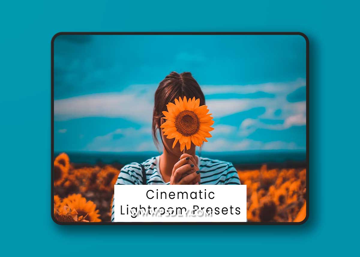 Cinematic Lightroom Presets Y95BSQ7
