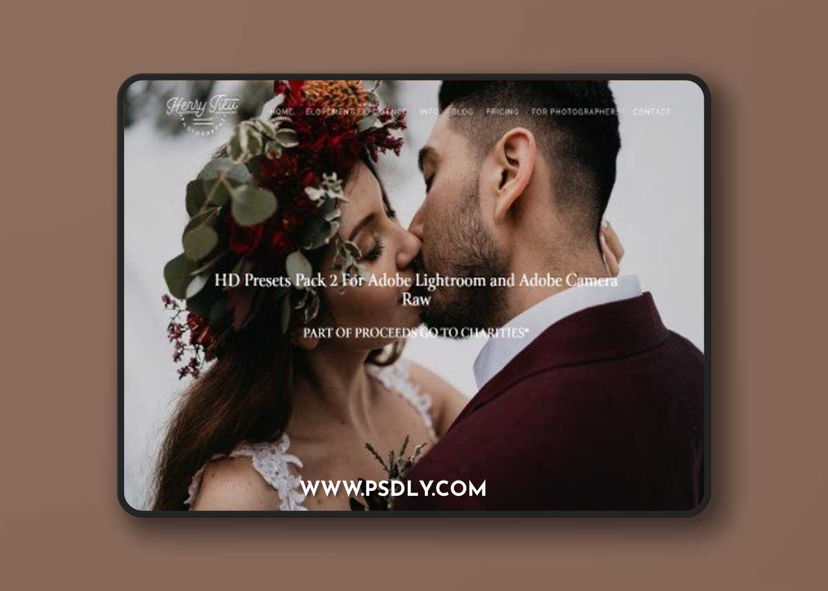 Henry Tieu - Preset Pack II Presets