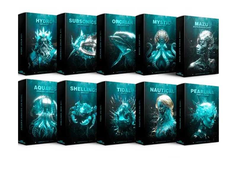 Jay Cactus DEEP SUITE