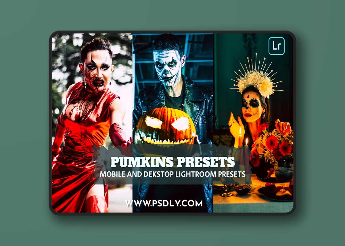 Pumpkin Presets Lightroom Presets Dekstop Mobile 26Z439S