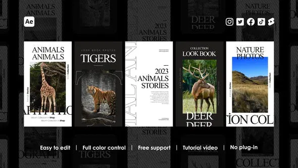 Videohive Album Instagram Stories 48591213