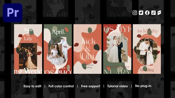 Videohive Marriage Instagram Stories 48542677